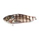 CICADA STRIKE PRO 4.5cm 9.6gr ASTRO VIBE 986E