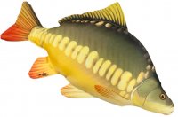 CADOU PESCAR PERNA PESTE CRAP