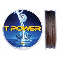 FIR BARACUDA BRAIDED T POWER 0.30mm 100m